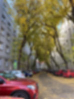 Bratislava Sokakları