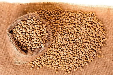 soybeans