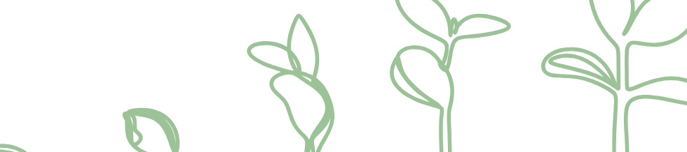 EBS growing plant logo - solid background.png