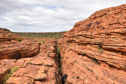 Day 186 - Kings canyon