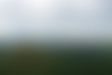 Days 198 to 201 - Bohol