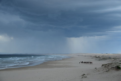 Day 242 - Port Stephens