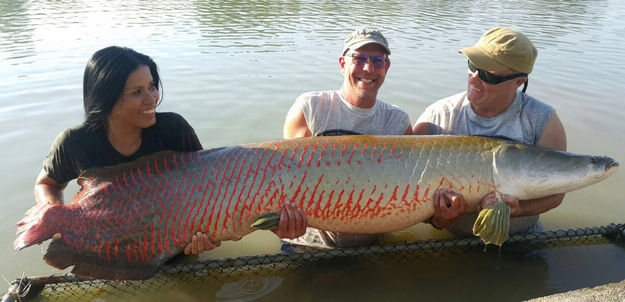 thailand-fishing with arapaima gigas.
