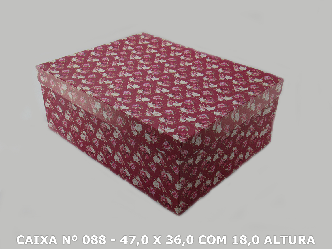 CAIXA Nº 088