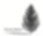 50 Pack - Norway Spruce