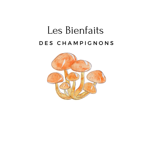 Dessin représentant les bienfaits des champignons