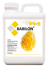 BABILON 5 LITROS.png