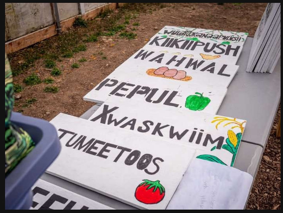 Here’s a snapshot of the signs my classmates and I crafted at the Munsee Three Sisters Farm, assisting the Ramapough Lenape tribe in their efforts toward language revitalization. Source: https://www.montclair.edu/newscenter/2023/04/05/students-plant-seeds-to-revive-a-native-american-language/
