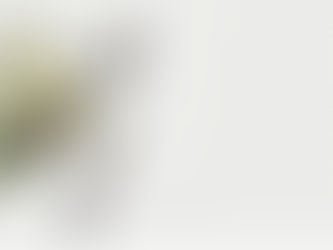 The Cost of Running a Procurement Team