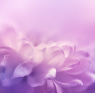 Fotolia_89124103_Subscription_XXL.jpg
