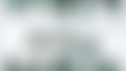 January - Newsletter