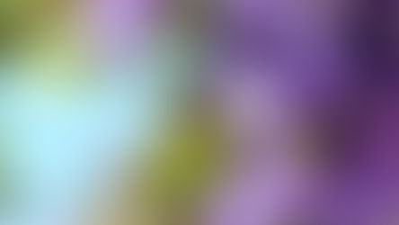 All Portugal News 11.05.2025