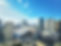 23118848_l.jpg