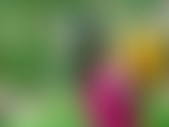 I contracted $1 MILLON dollars in sales in 6 months as a solo, part time agent!