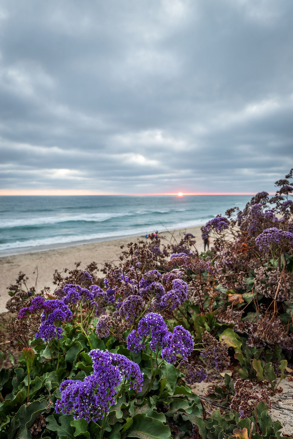 Cloudy Sunset