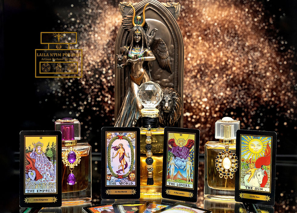 Potion & Tarot Experience