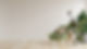 Aesthetic Brown Fashion Collection Blog Banner_edited.jpg