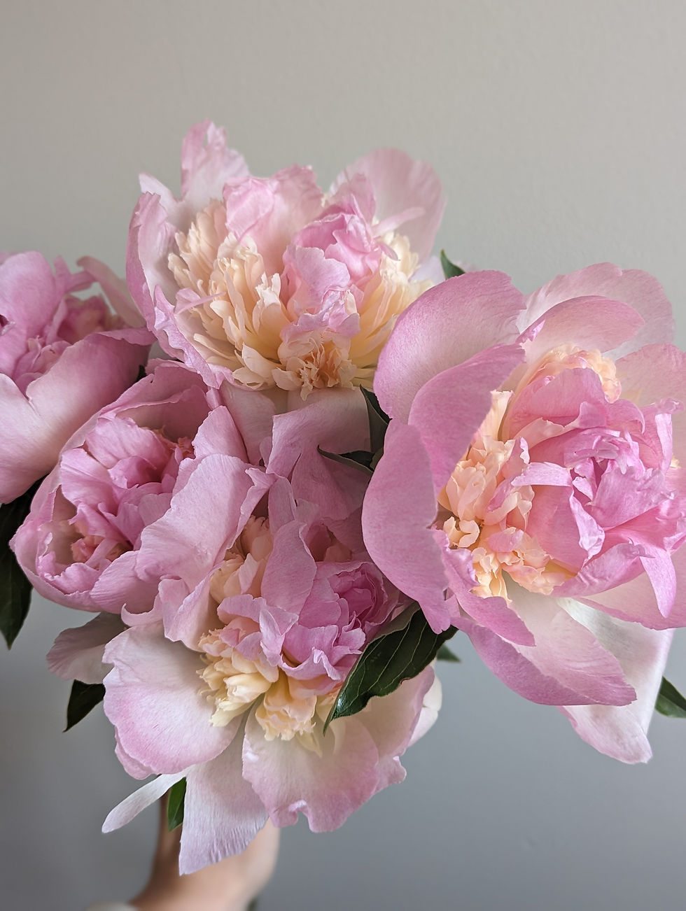 Thumbnail: Friday Flowers