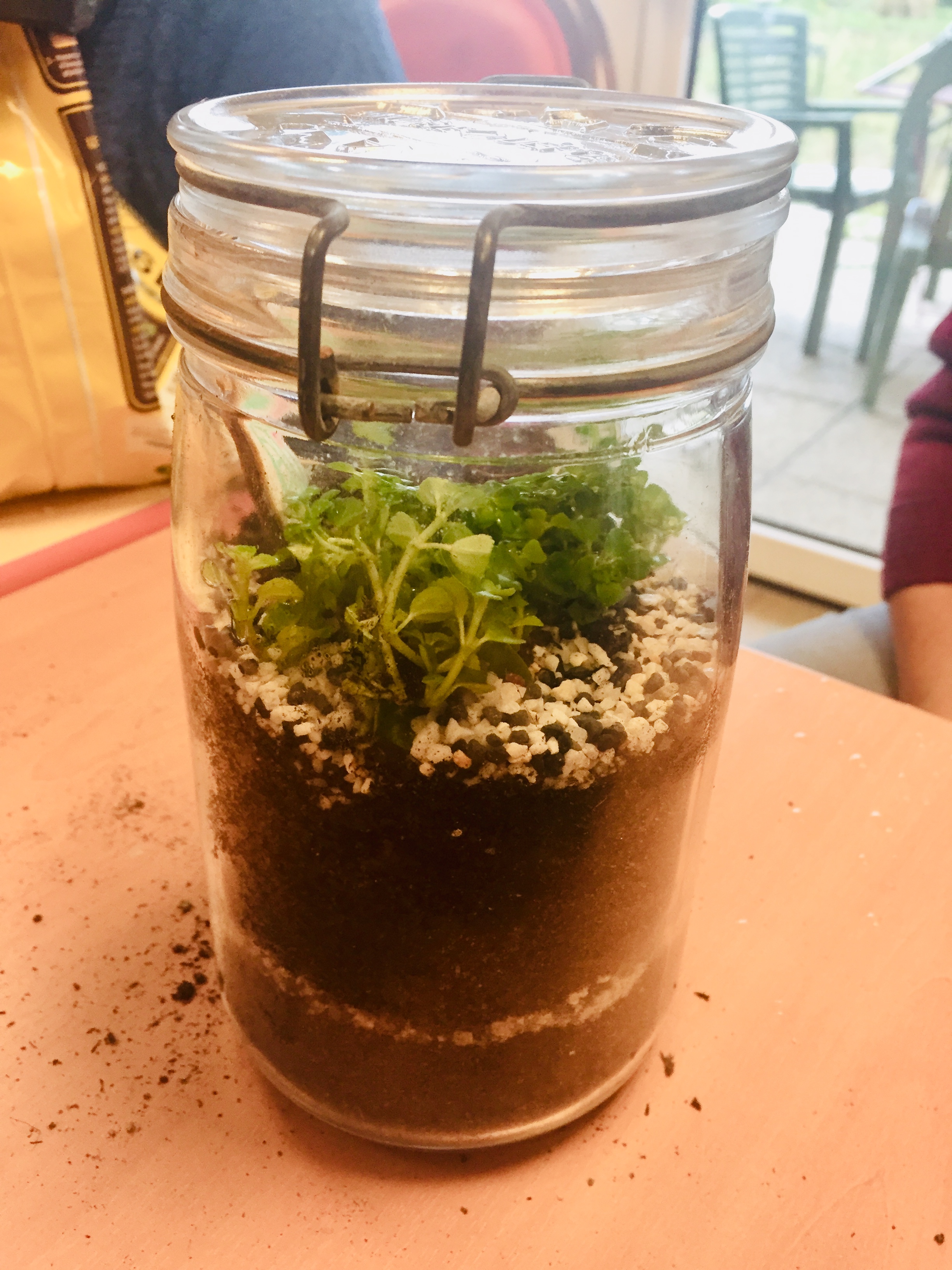 Animation Terrarium