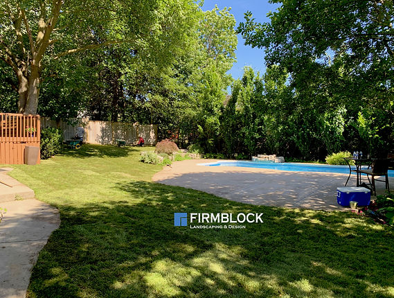 Pool lawn.jpg