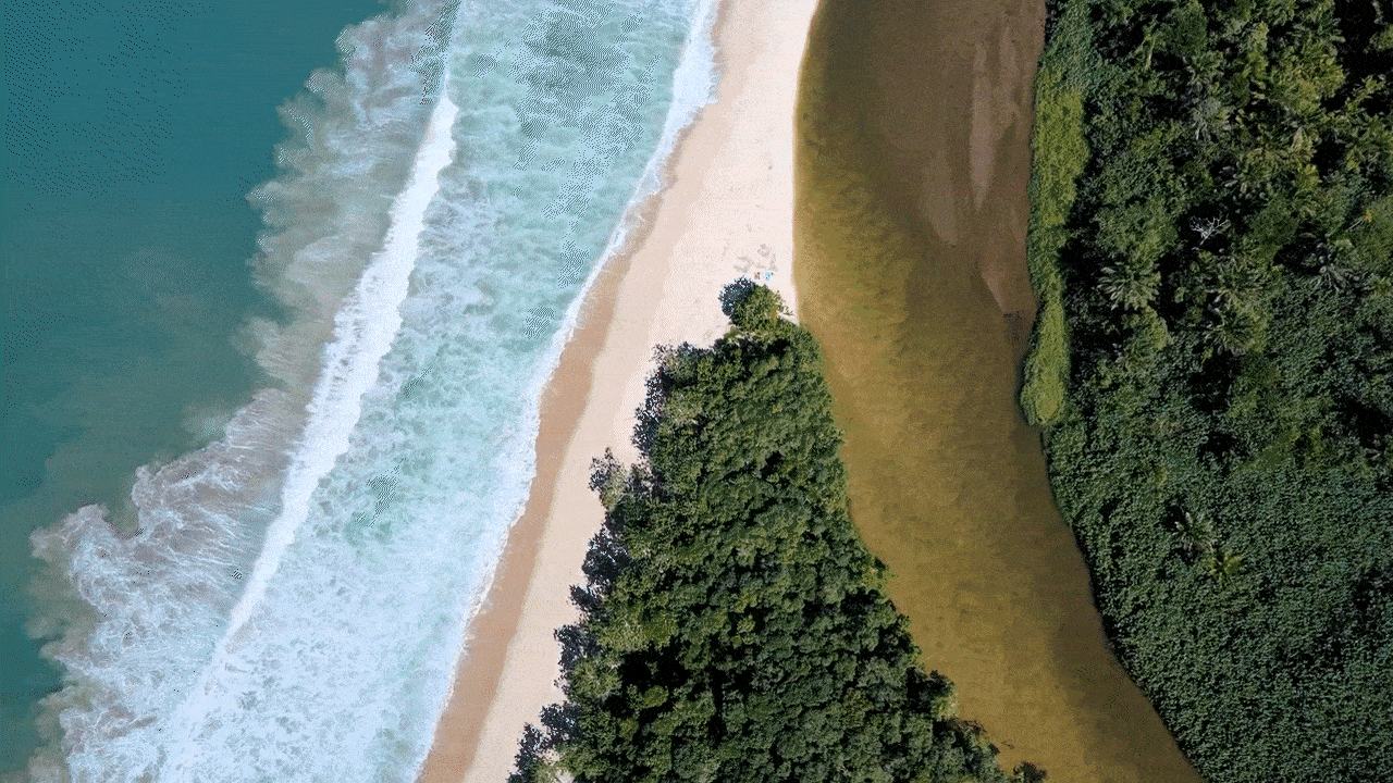 drone_-_w__correction (720p).gif