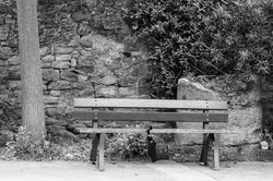 ...les parapluies perdus