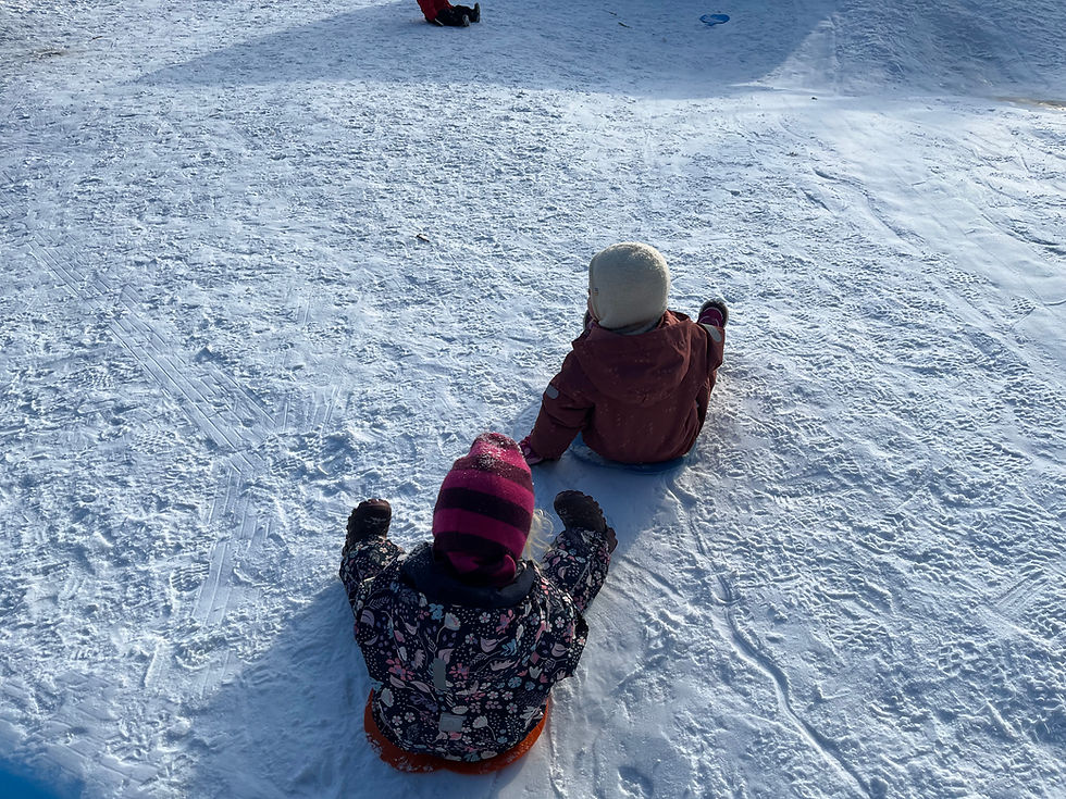 Harebarna - glede i akebakken
