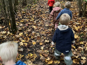 Harebarna på tur i høstskogen