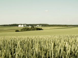 The Role Of Biomethane And RNG In Reducing Italy's Natural Gas Dependence