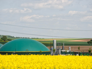 The Potential Of Renewable Natural Gas (RNG) To Complement Conventional Natural Gas