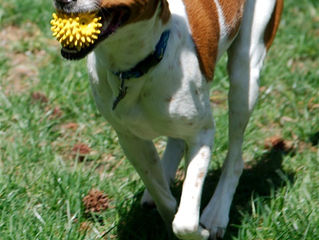 Celebrate your Successes!