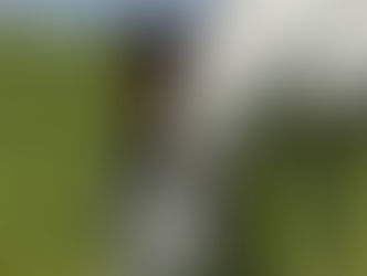 Find the Feeling of Freedom