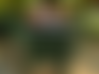 The Meaning of Things