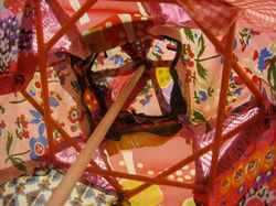 little top looking up