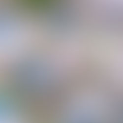 Flourishing: hoe mensen opnieuw richting, betekenis en groei in hun leven kunnen ervaren