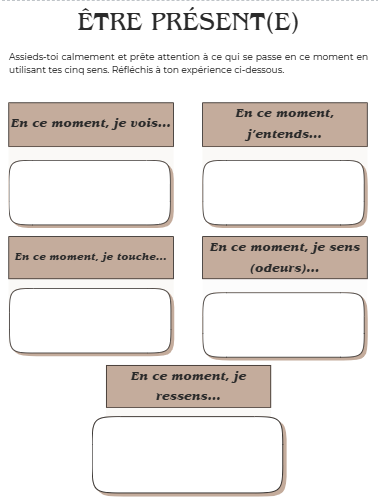 Miniature : Le cahier d'exercices de pleine conscience