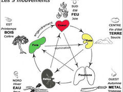 Le Printemps : Saison du Foie