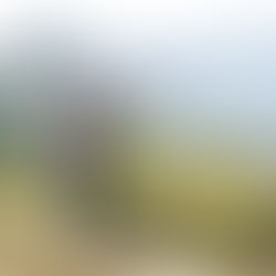 My first 70KM trail marathon