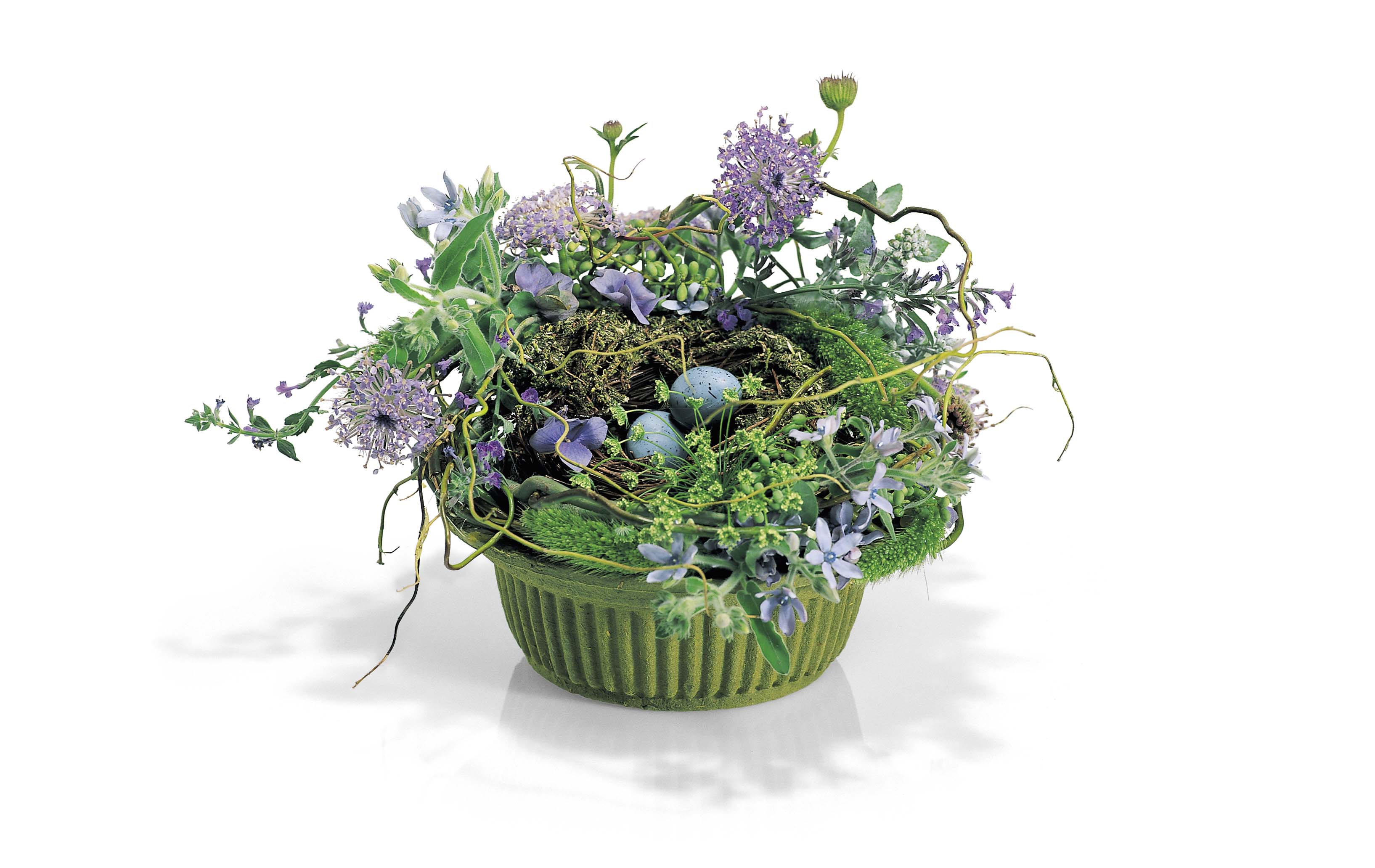 Wildflower with Nest