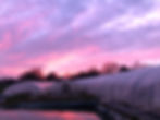 sunset 2.jpg