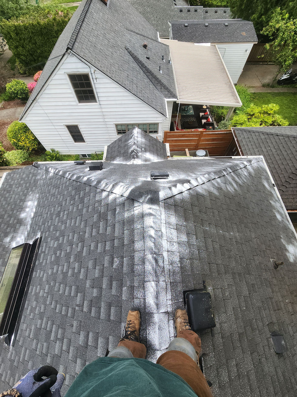 roof cleaning services in Happy Valley, OR