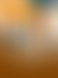 Fechamento do Comércio em Feriados