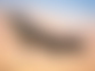 Dutch Government Appeals Court Ruling on F-35 Fighter Jet Parts Export to Israel