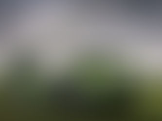 France will deliver 12 more Caesar howitzers to Ukraine