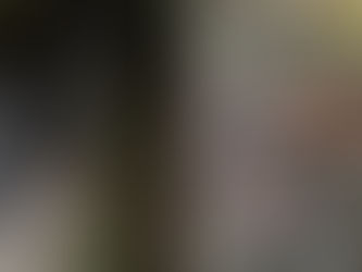 Canadian Woman Awakened by Barking Dog Finds Black Bear Raiding Car for Soda