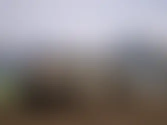 Hamas to Respond Soon to Proposal for Gaza Ceasefire and Hostage Exchange