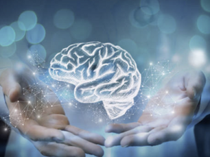 The Case for Combining Selank and Semax for Cognitive Performance