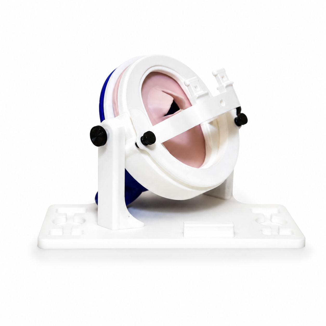 Mitral Heart Assembly CarmoSIM™