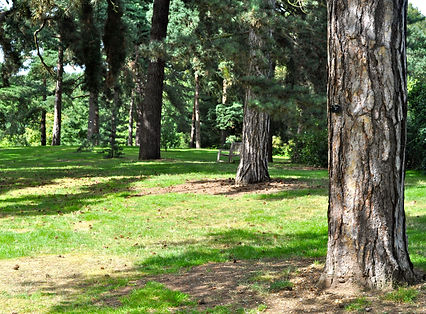 massage thaï ostéopathe shiatsu