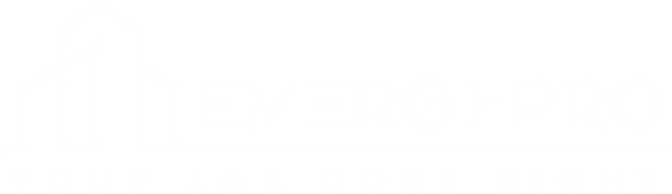 EmergiPro Logo